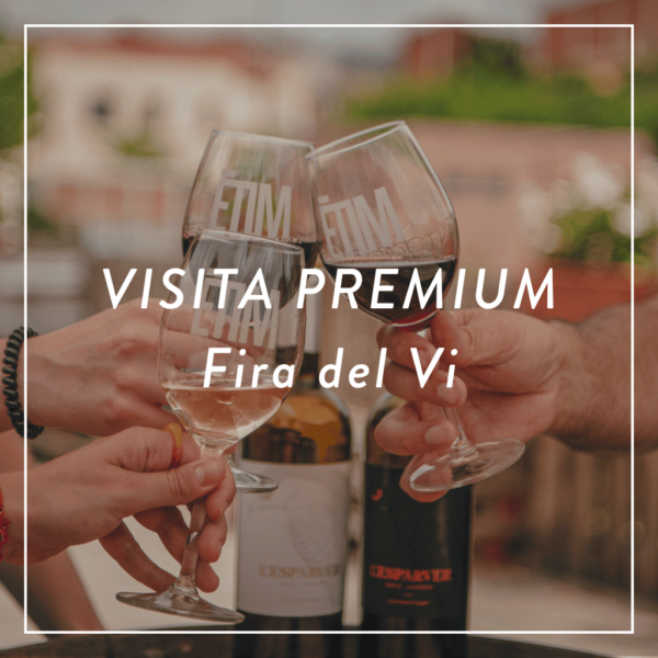Visita Premium exprés