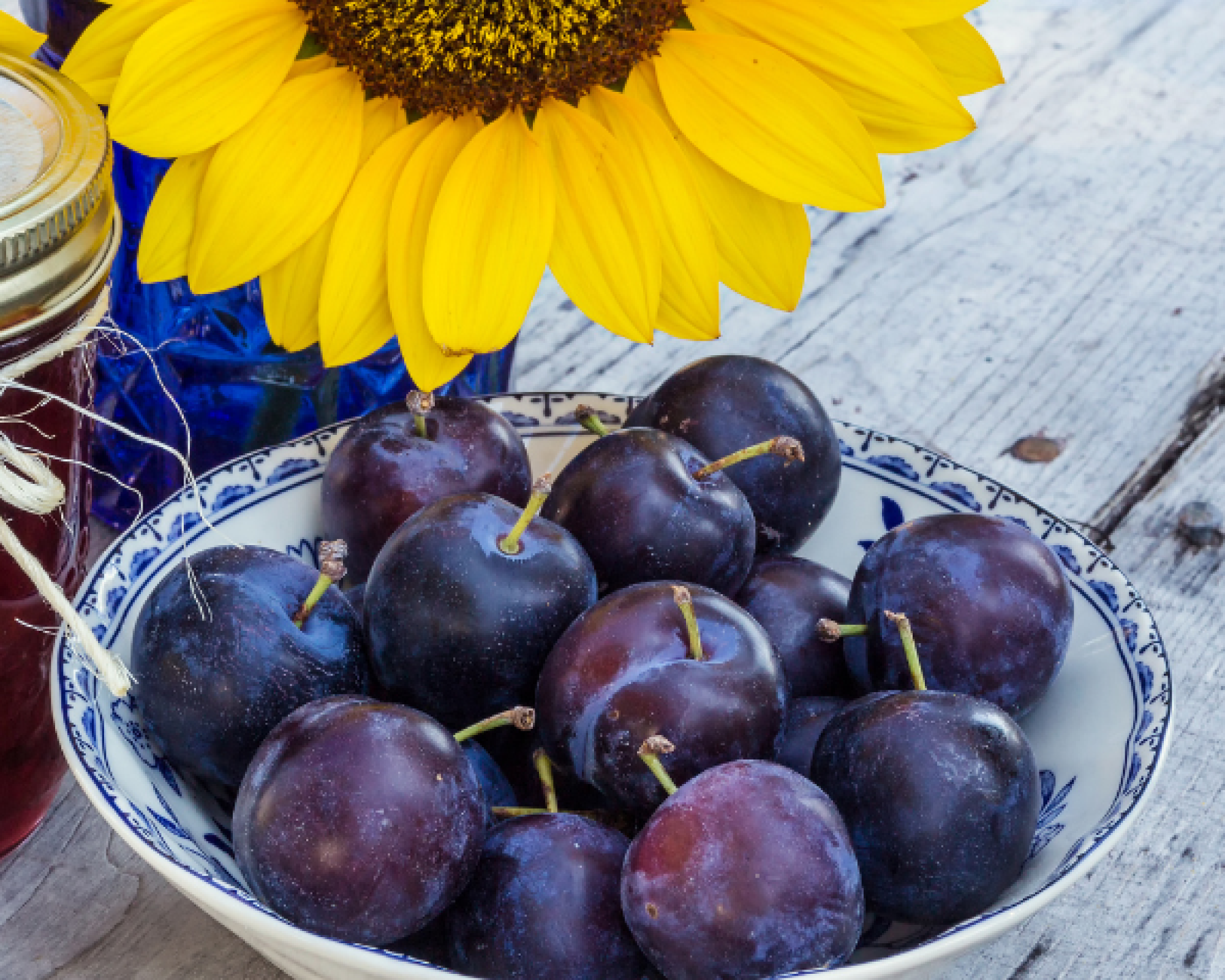 melmelada prunes N M.Rull