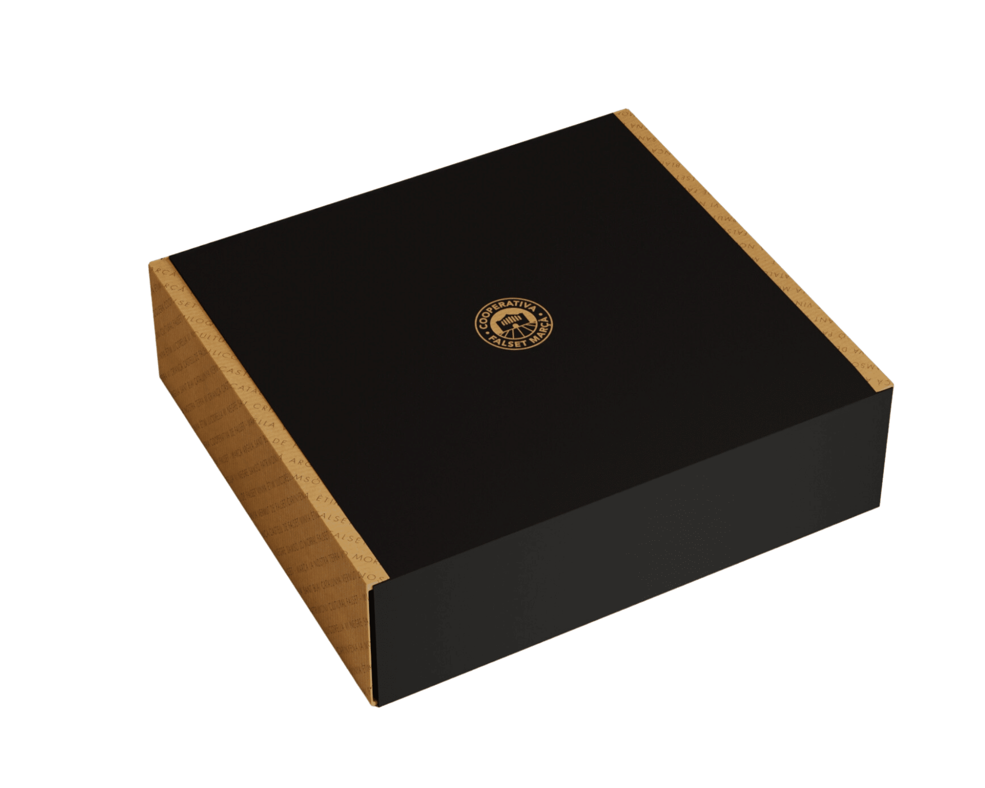 fotografies cuadrades (2048 × 2048 px) WEVB (1)